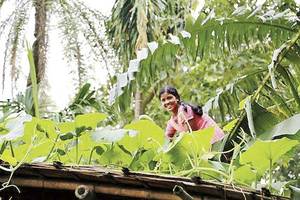 Mumbai Diary: Thursday theme